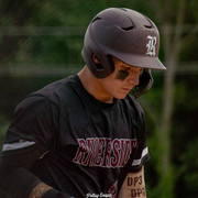 DSC06367DP