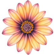 094a9c5e2b58dd1de66b5fe0d10ebc76