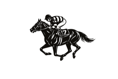 Bold Pilot logo
