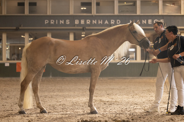 155 3