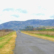 DSCN4895