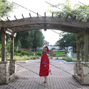 IMG 7564