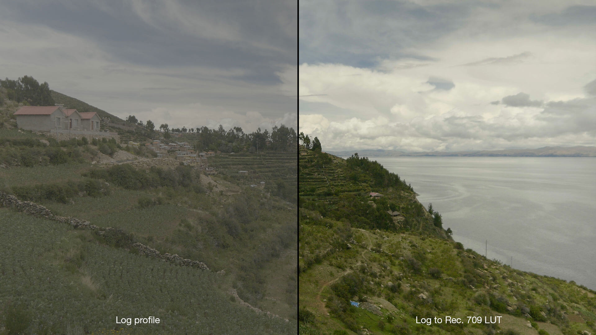 LUT REC.709 para color tipo D-Cinelike