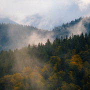 IPB Image