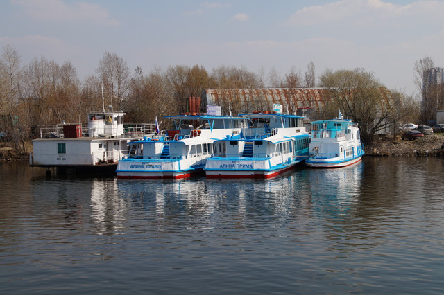 DSC03563.jpg