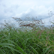 P1330184