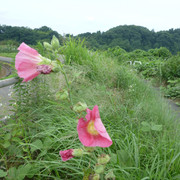 P1330302