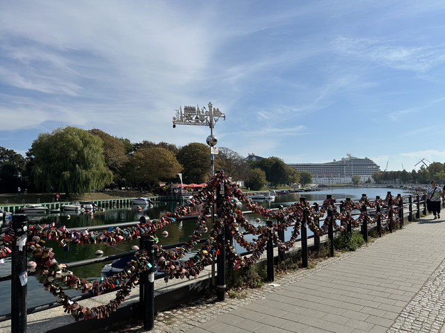 IMG-1509