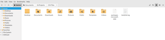 file-Manaager-Screen-Shot-2