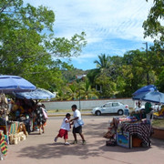 P1100589