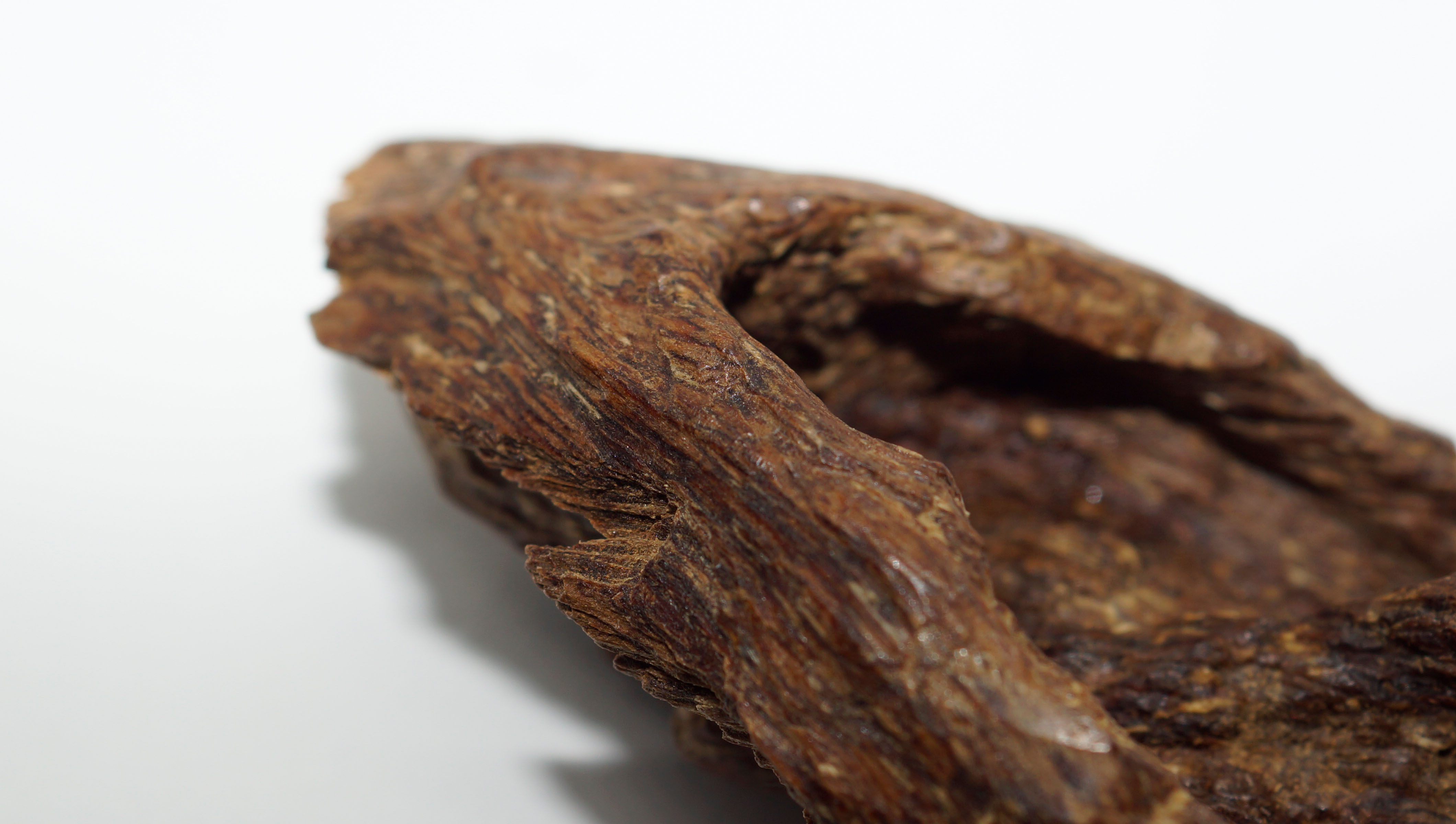 [Ouddict.com] Oud Wood