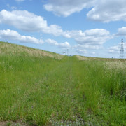 2020-05-24-032