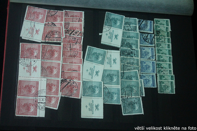 IMG-3281.jpg