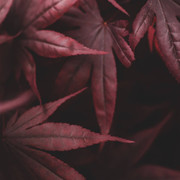 IMG-20190610-220406