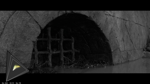 gamut-LOTR20191
