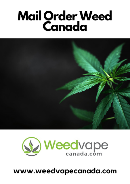 Main-Order-Weed-Canada-2.png