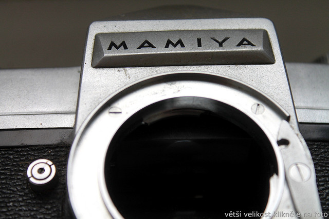 IMG-1644.jpg