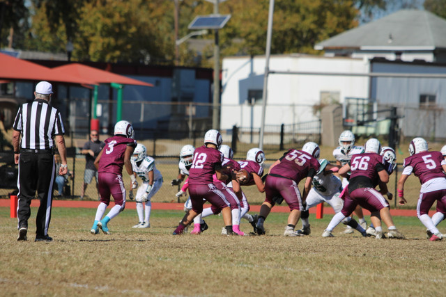 IMG-8155.jpg