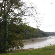 DSCF5446