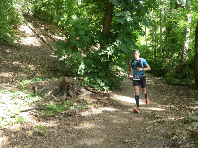 P1020451.jpg