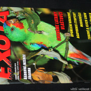 IMG-7816