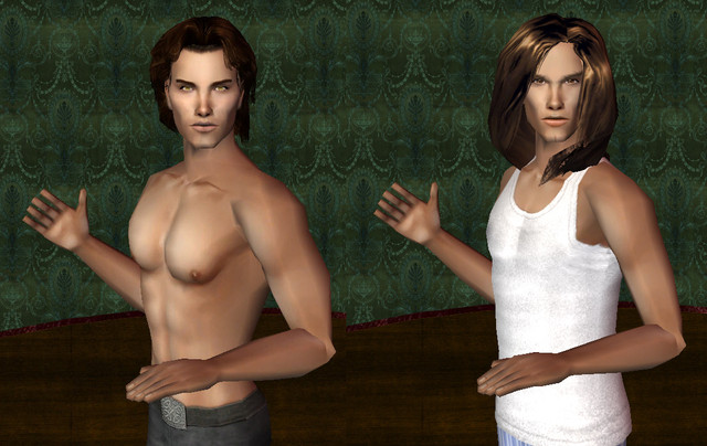 All4-Sims-guy2