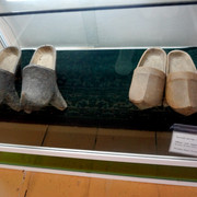 DSC05501