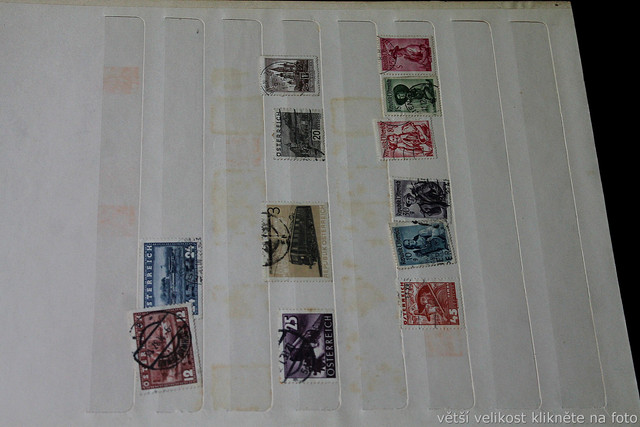 IMG-6969.jpg