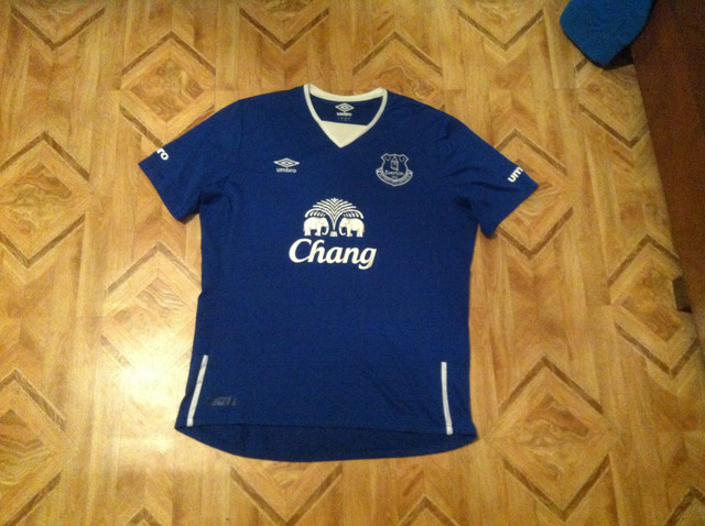 everton-15-home1.jpg