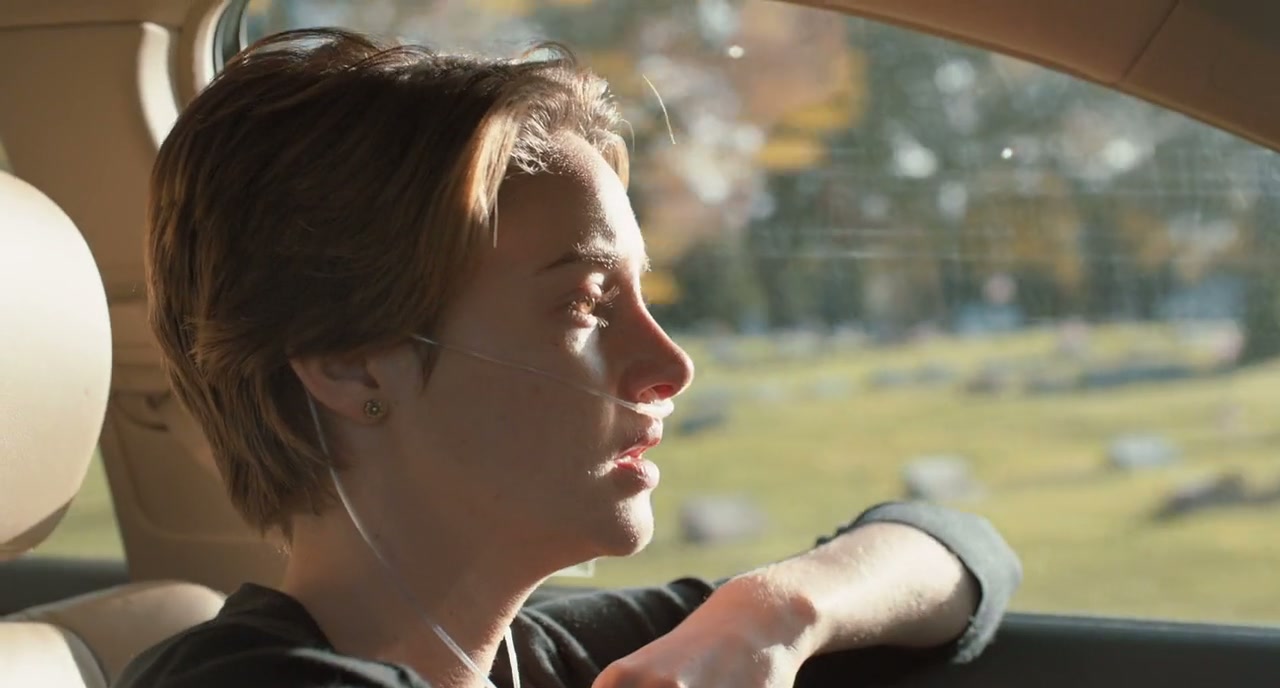 The Fault in Our Stars Screenshot