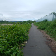 DSC-0008