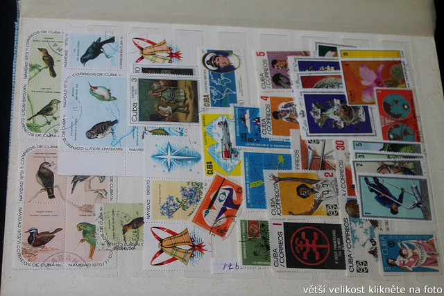 IMG-3499.jpg