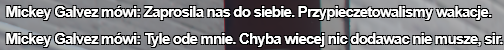 ss13.png