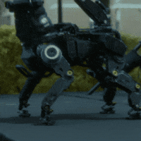 200.gif