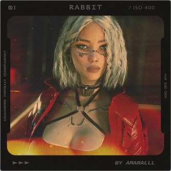 rabbit