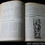 IMG-2464