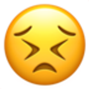persevering-face-1f623