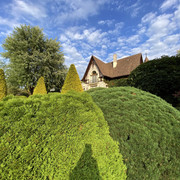 IMG-0728