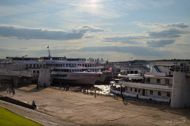 DSC-8232