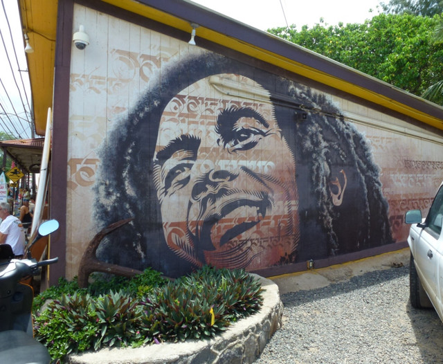 P1070442