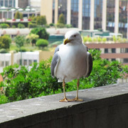 IMG-1924