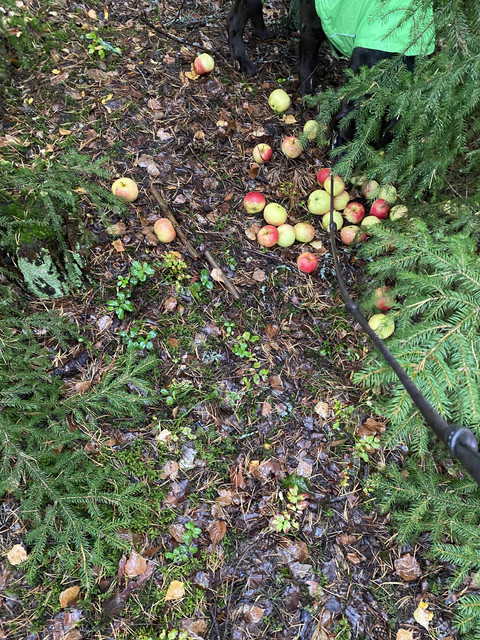 0-FA0078-E-CD7-A-4-F76-AA02-5-E835-C2128