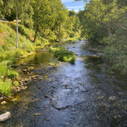 IMG-1441