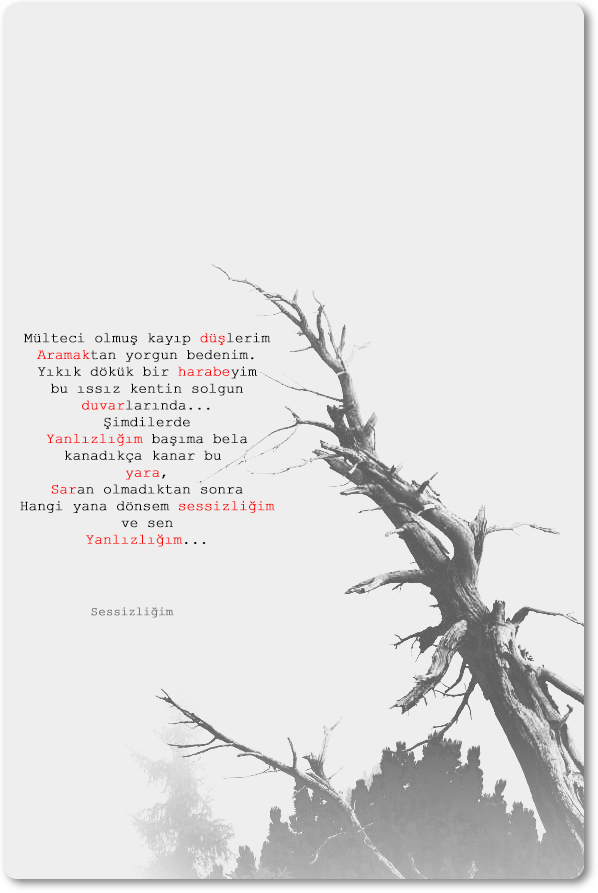 895-Untitled-1.png