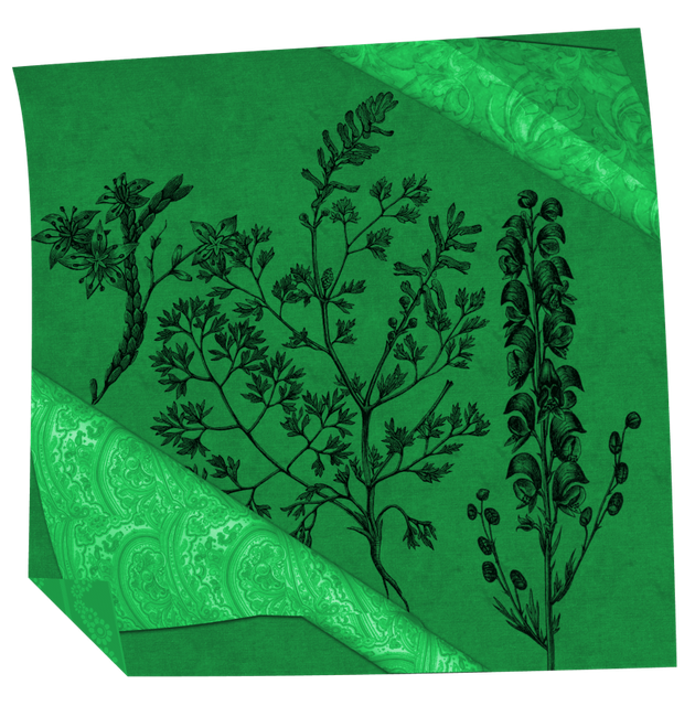 papier-vert.png