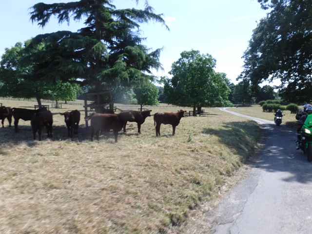 DSCF6176.jpg