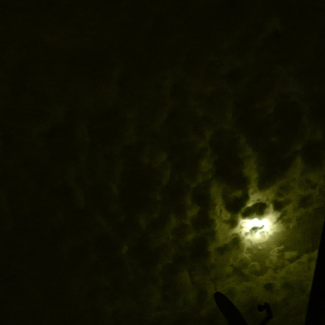 Pmoon-017.jpg