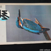 IMG-3569