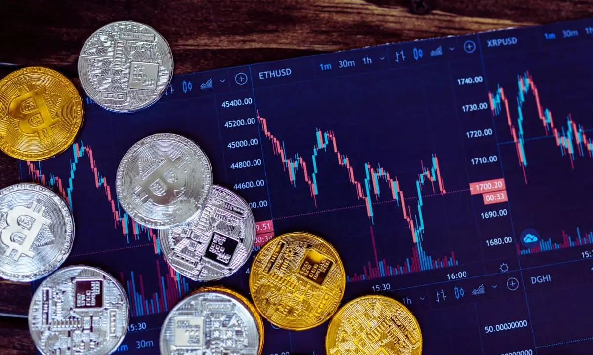 Crypto Fundamentals Show Growth Despite Market Downturn