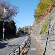 IMG-20221214-125542